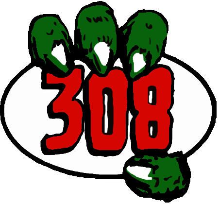 308 Team Logo